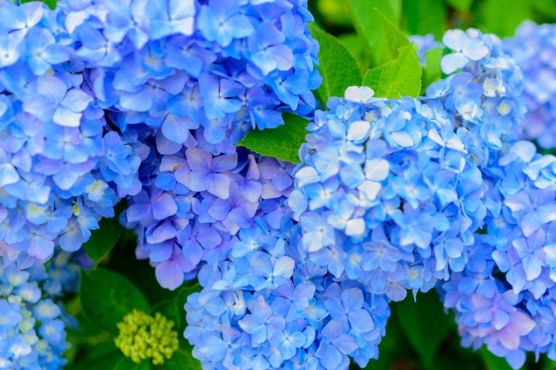 【2023年6月】開業支援実績のご紹介