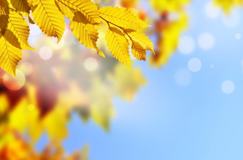 【2023年9月/10月】開業支援実績のご紹介