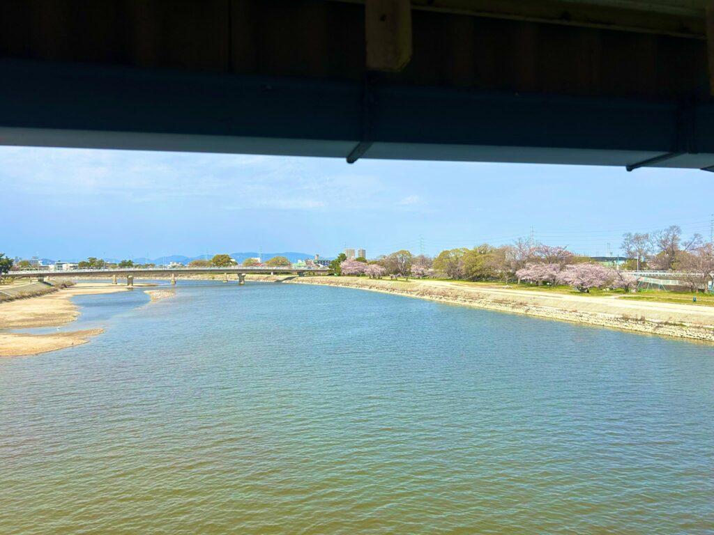 河と桜